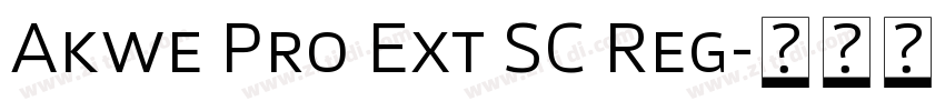 Akwe Pro Ext SC Reg字体转换